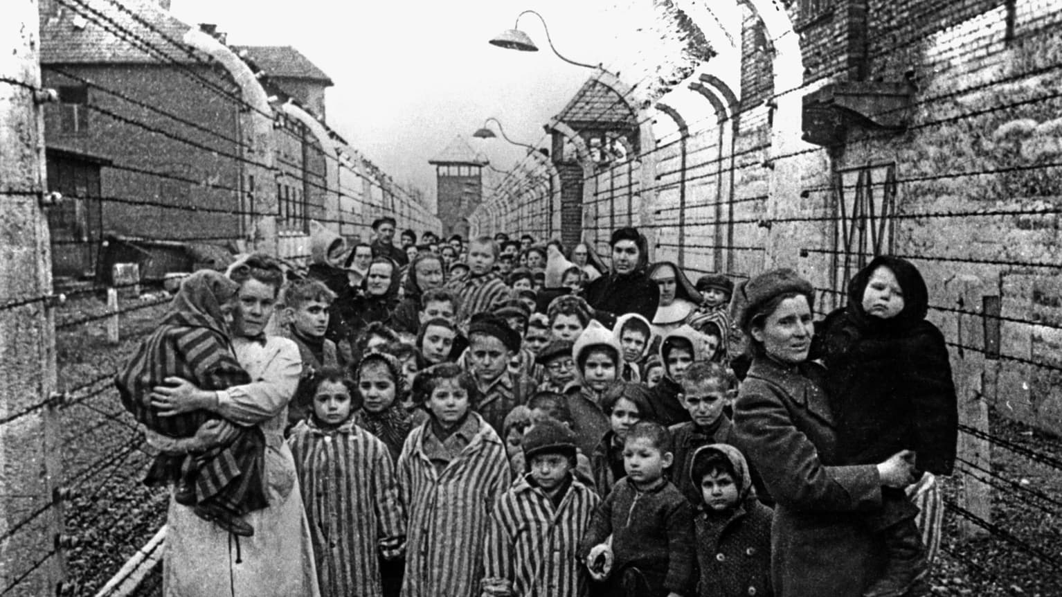 Birkenau 