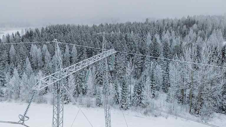Sähkölinja ja taustalla metsää.