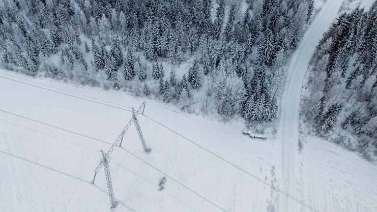 sähkölinja ja vieressä metsää.