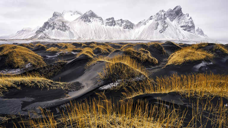 Etualalla keltaista kasvillisuutta mustalla hiekalla, taustalla lähes mustavalkoinen luminen vuoristo.