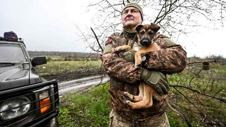 En soldat i en uniform håller i en hund. Soldaten tittar framåt. Han står på ett gräsfält och i bakgrunden syns en militärgrön bil.