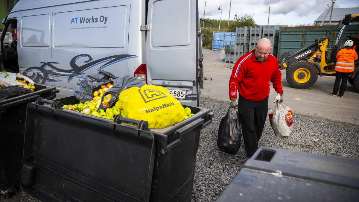 Punatakkinen Arto Hurskainen kantaa pakettiautosta isoja kasseja, jotka pullistelevat omenoita, etualalla roskasäiliö täynnä samanlaisia säkkejä.