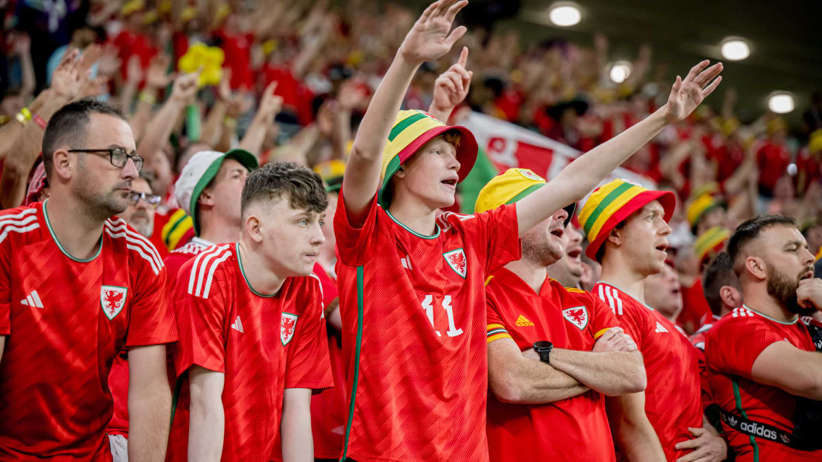 Walesin faneja Iranin katsomossa.