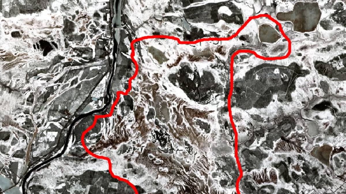 Satelliittikuva Viiankaavasta