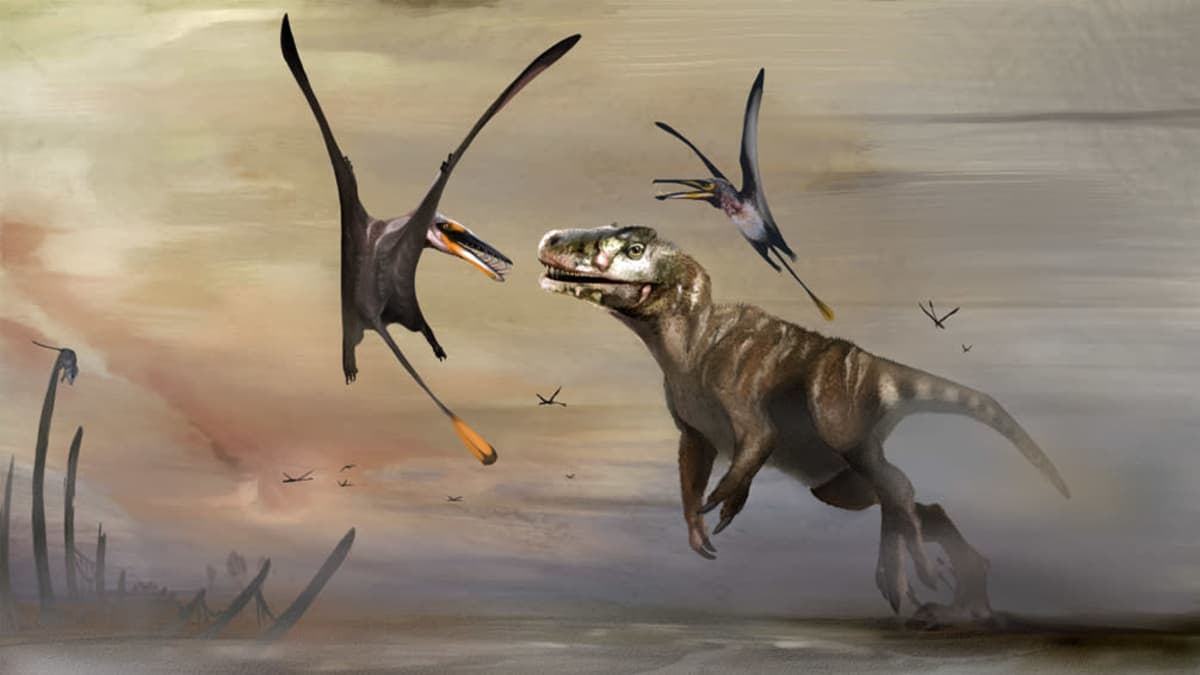 Kaksi pterosaurusta hyökkää dinosauruksen kimppuun usvaisessa maisemassa.