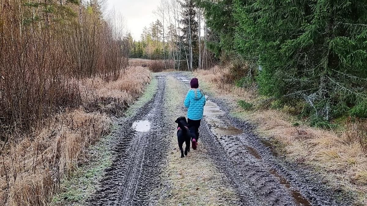 Koira ja lapsi kävelevät vierekkäin metsätiettä syksyllä.
