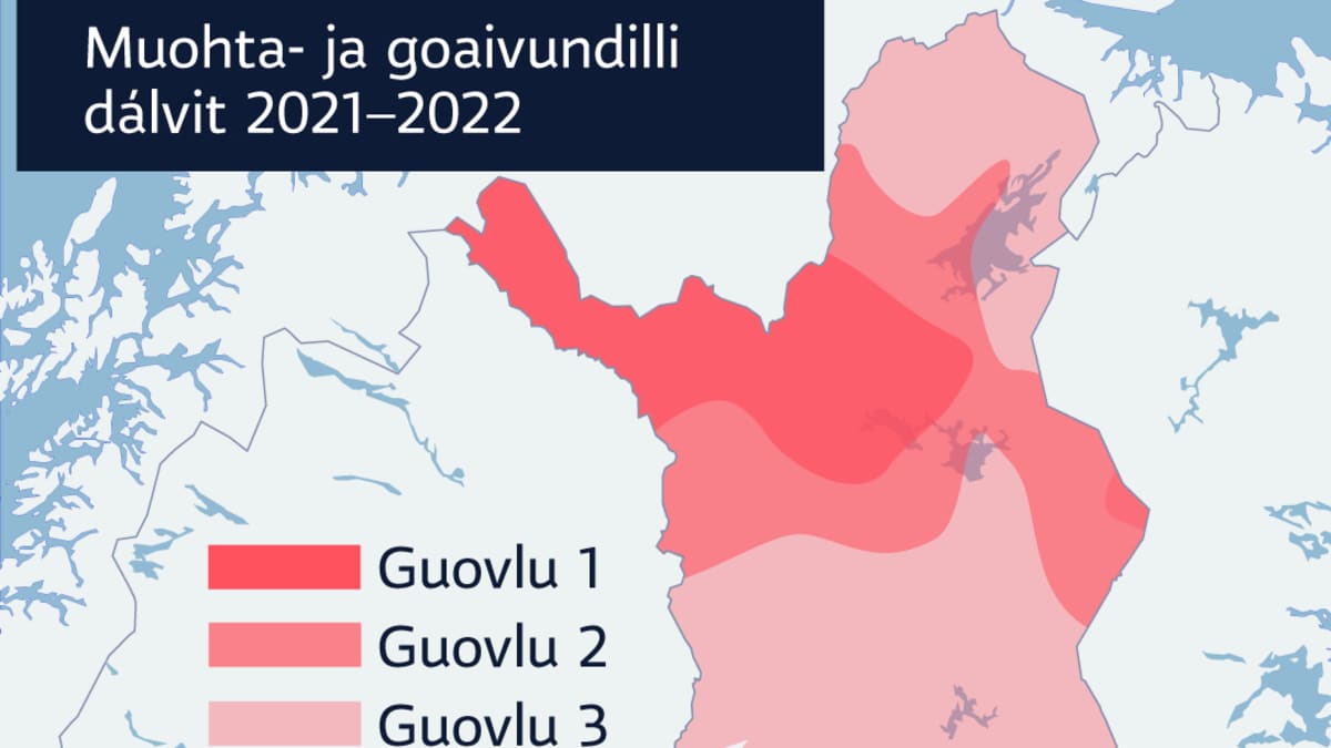 Muohta- ja goaivundilligrafihkka