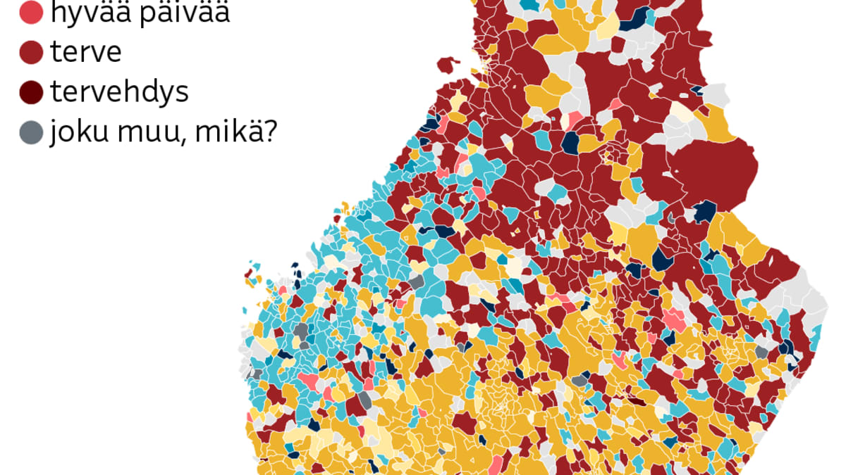  Photo: Asmo Raimoaho / Yle