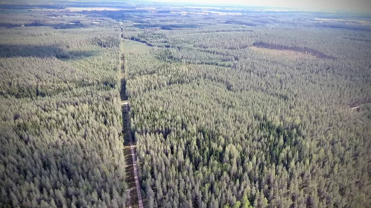 Droonikuvaa Kurikan pohjavesialueesta.