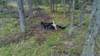 A pile of metal wreckage from a crashed drone lying on the ground in a forest.