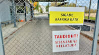 Förbudsskyltar om afrikansk svinpest på estniska vid ingången till en svingården Ekseko.
