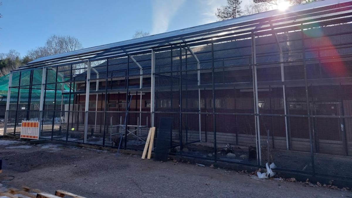 Heinolan lintuhoitolan petulintutalon uudet ulkohäkit