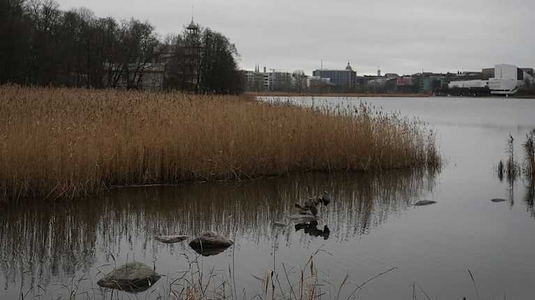 Markku Puustisen's Tiira work in Töölönlahti. 