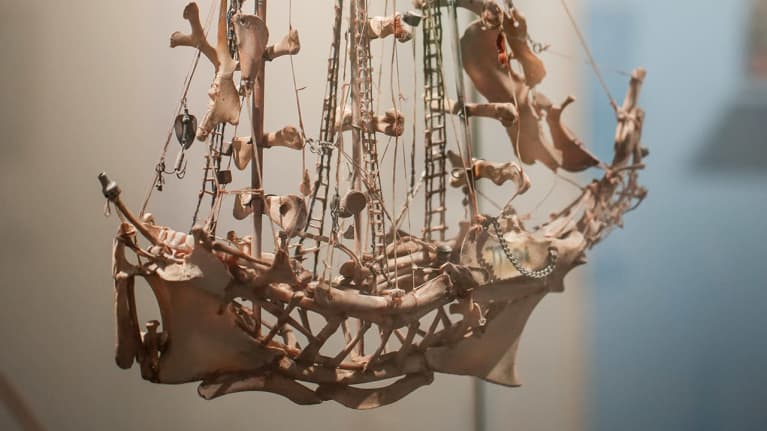 Suomen kansallismuseon Kesytön taide -näyttelyä