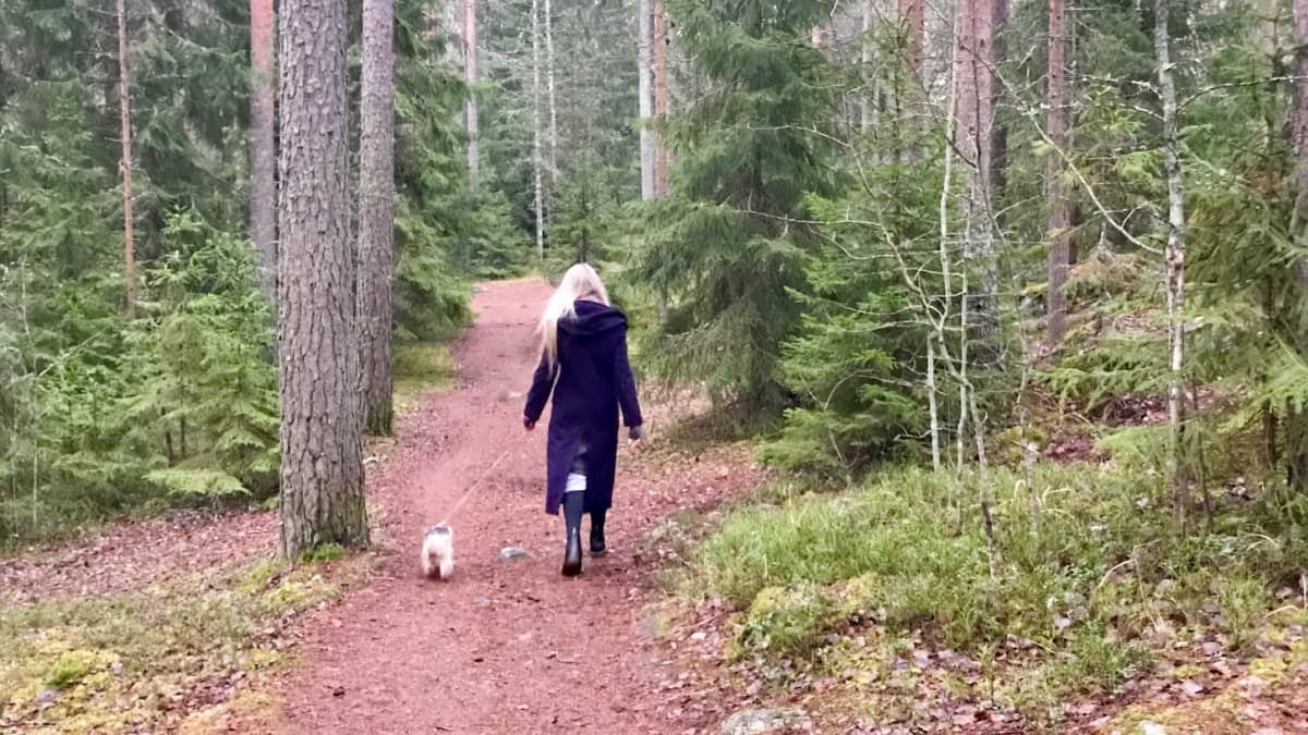 Nainen ja pieni koira kävelevät kuusimetsässä