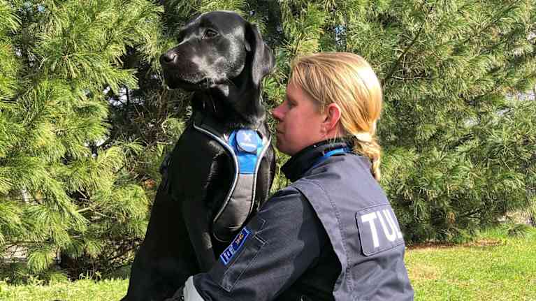 Tullin koirankouluttaja mustan labradorinnoutajan koiransa kanssa.