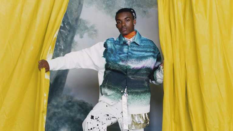 Tyler Mitchell: Curtain Call, 2018.