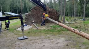 Kaatuneen puun raivaamisessa käytettiin apuna kourayksikköä.