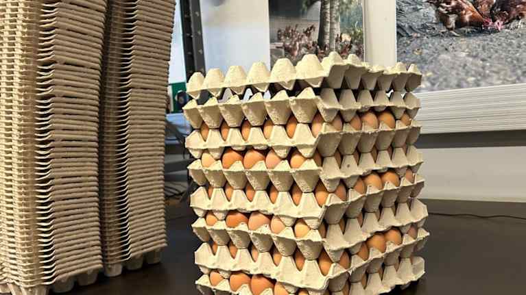 A stack of large flat grey cardboard boxes full of brown eggs, with empty ones stacked behind it. 