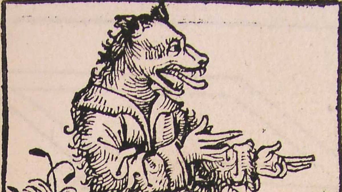 Koirankunolainen, muinainen taruolento jolla oli ihmisen vartalo ja koirankaltainen pää.