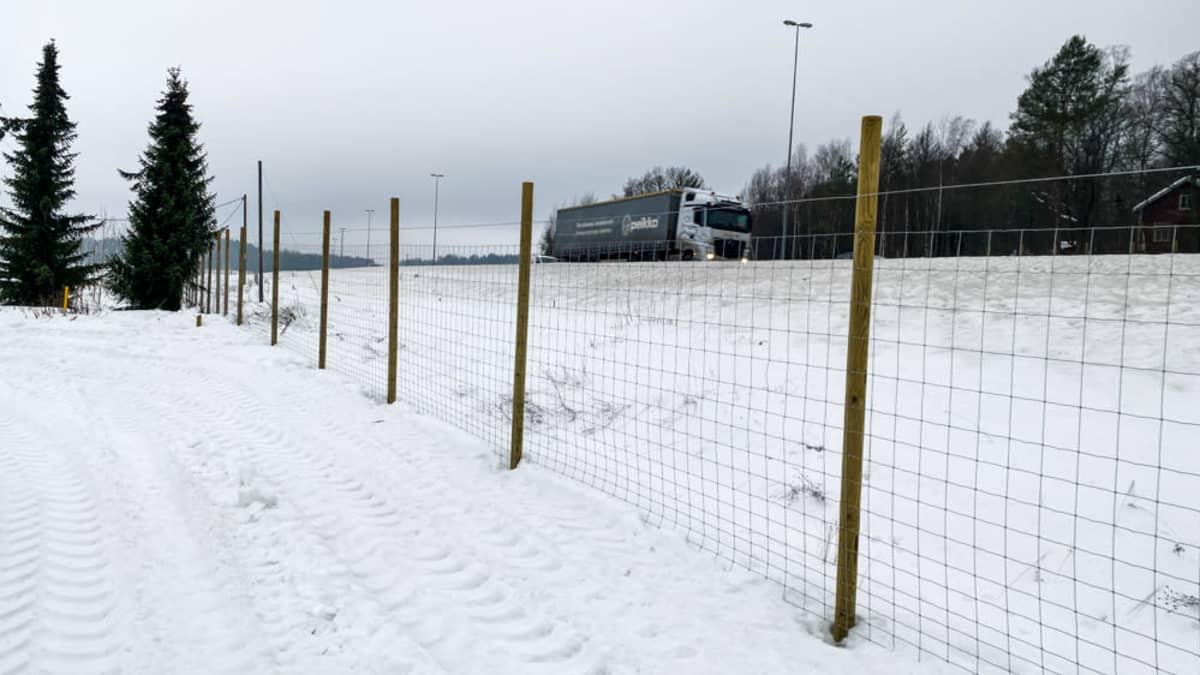 Uusi riista-aita moottoritien varressa.