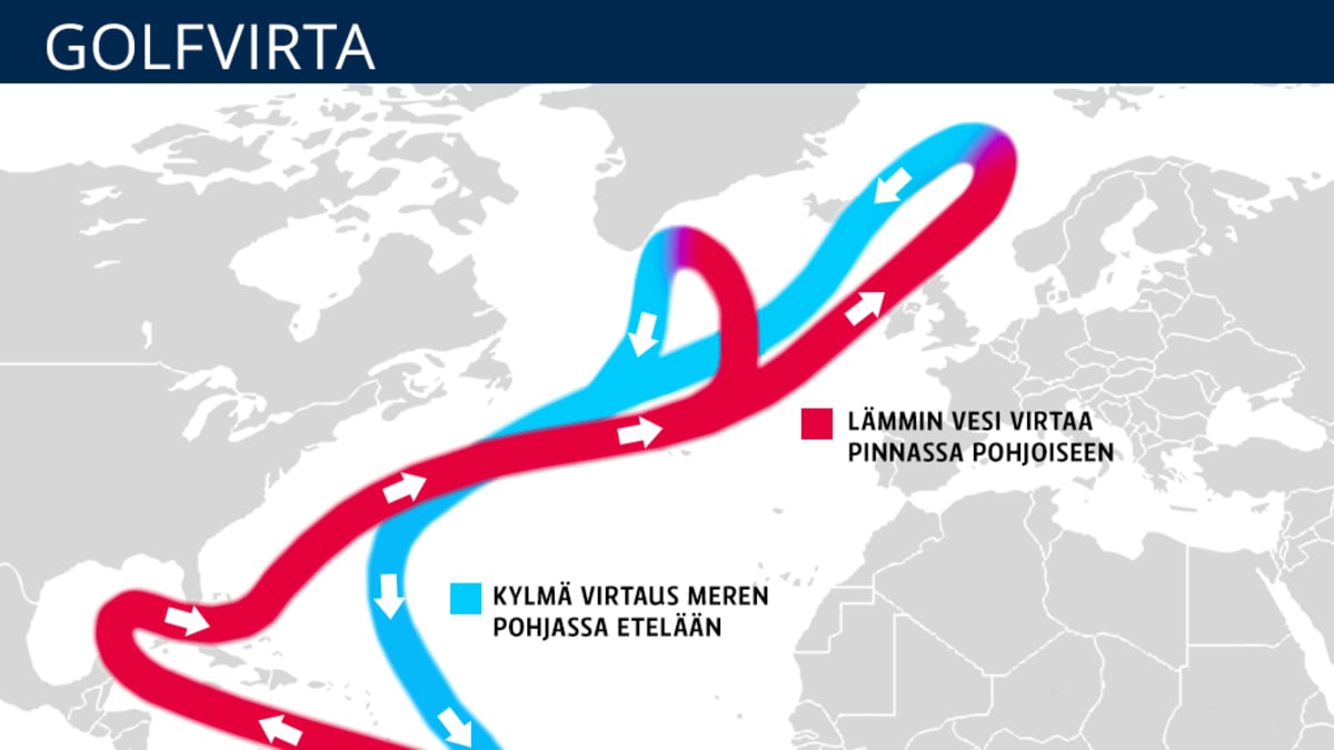 Grafiikassa esitetty Golfvirran lämmin virtaus meren pinnassa pohjoiseen ja kylmä virtaus  meren pohjassa etelään.