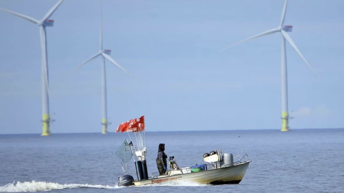 Kaupallinen kalastaja ajaa veneellä merellä ja taustalla näkyy tuulivoimaloita.