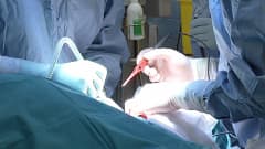 plastiikkakirurgit leikkaussalissa
