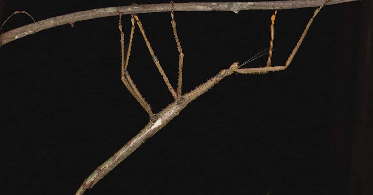 39-1501237688b6356116d9