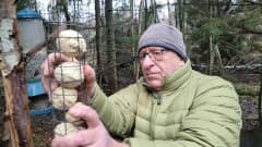 Vaasalainen Pekka Mäkynen lisää talipalloja lintujen ruokinta-automaattiin Risön metsäruokintapaikalla Vaasassa.