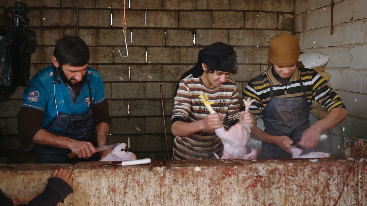 Miehet tekevät ruokaa al-Holin leirillä.