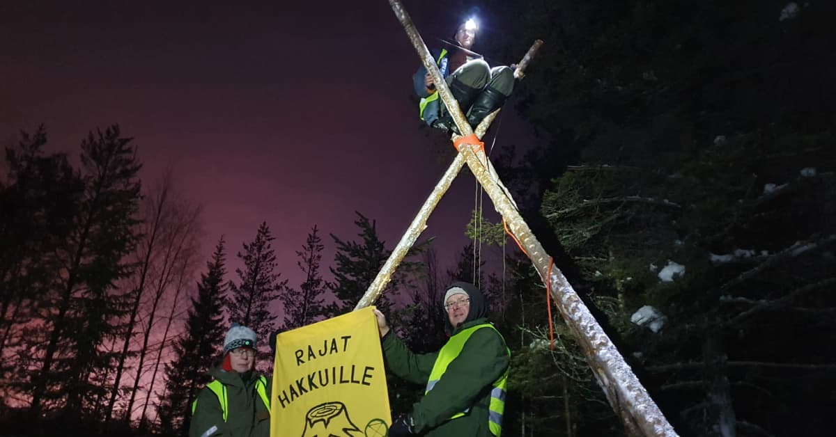 Police Board to probe officers' photo ban at Lapland logging protest ...
