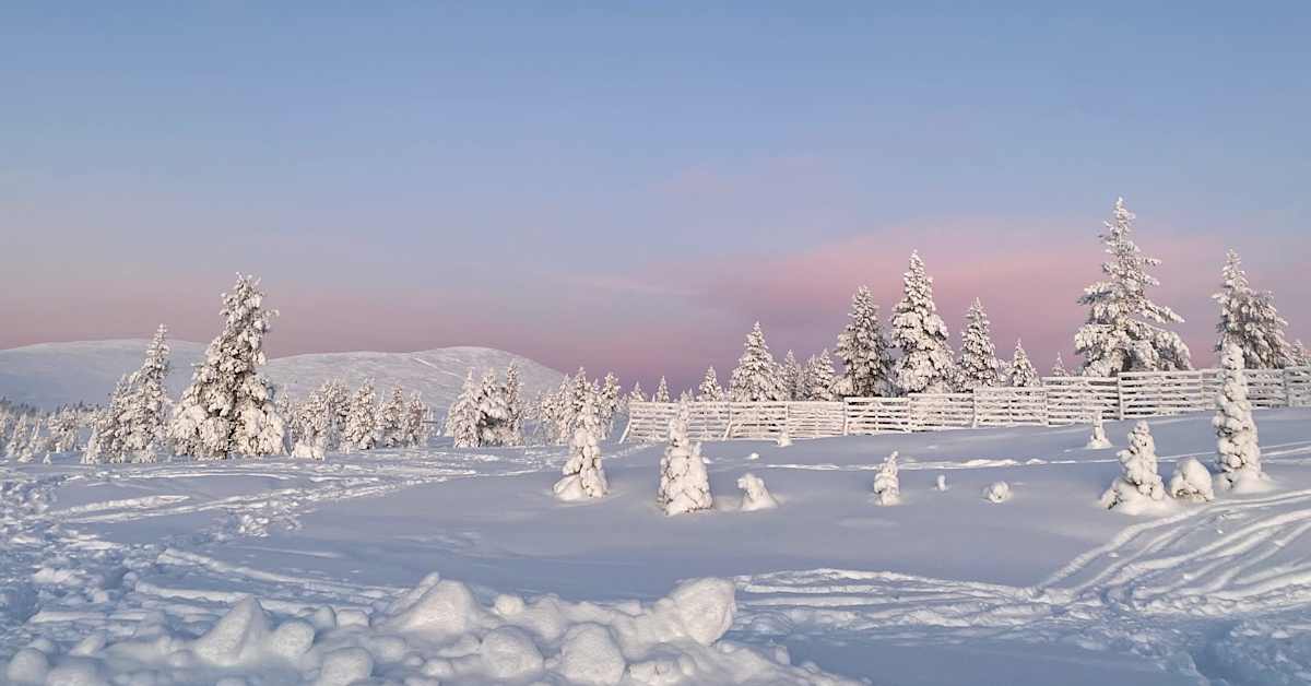 Valvova viranomainen yllättyi tuomiosta, jossa matkailuyritys todettiin vastuulliseksi pulkkailuonnettomuuteen