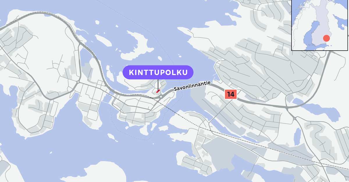 Tullin ja ja poliisin operaatio Savonlinnassa – tukinnassa tehty kiinniottoja