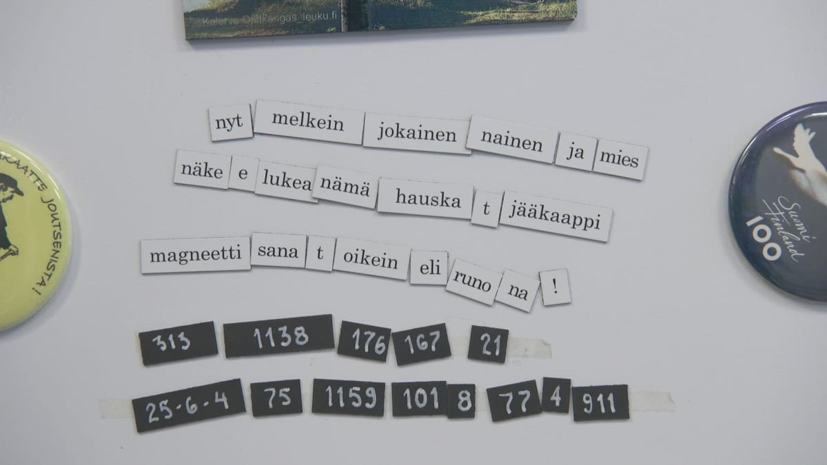 Jääkaappimagneetteja sekä oikeinpäin että väärinpäin. Väärällä puolella sanojen sijaan numerokoodeja.