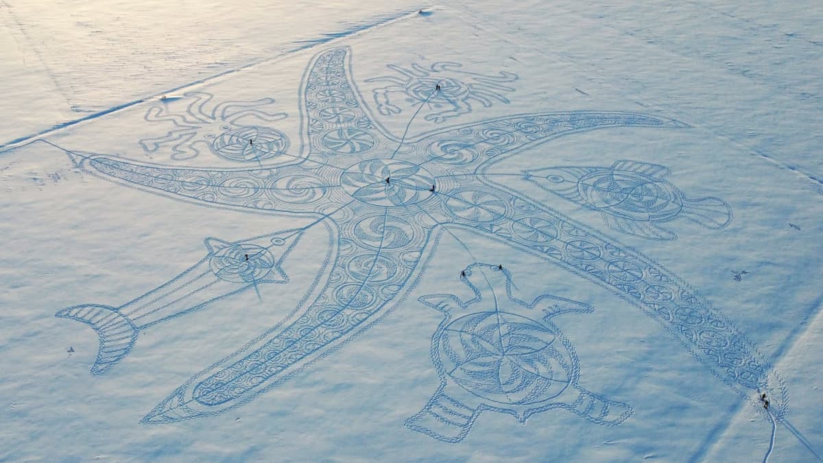 Ilmakuvassa lumipiirros lumisella pellolla Hattulassa, kuviossa meritähti ja muita mereneläviä.