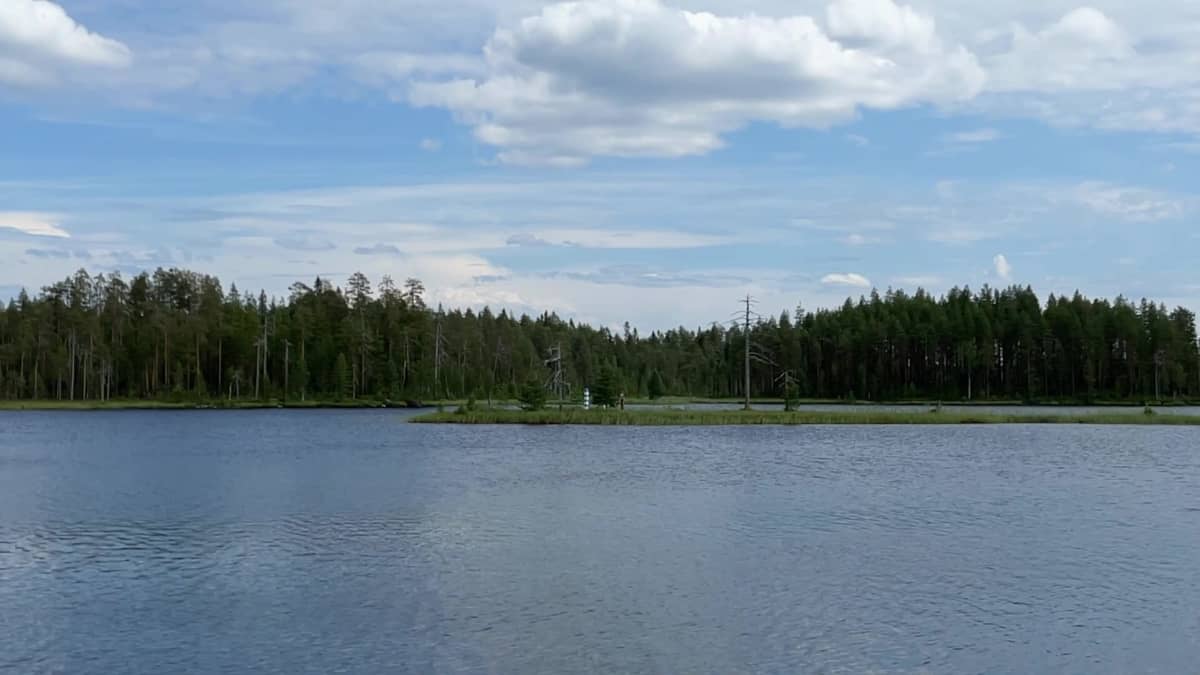 Keskellä järveä pieni saari, mistä erottuu Suomen ja Venäjän rajapyykit.