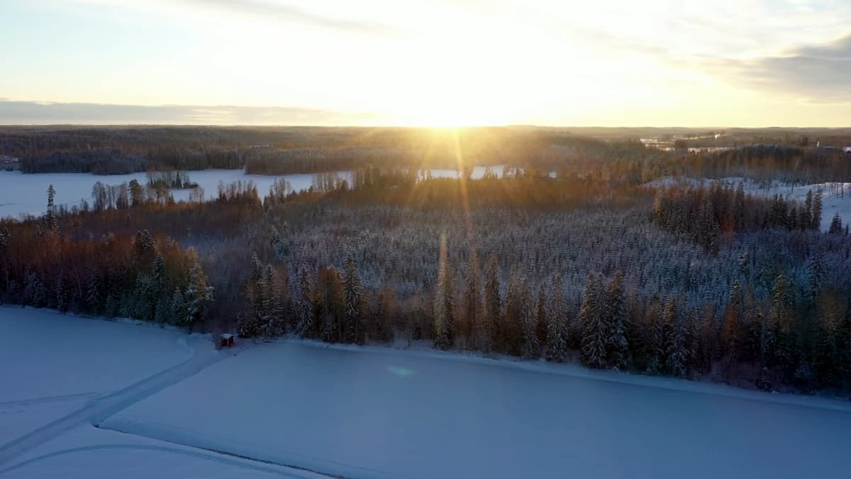 Talvisia peltoja ja metsiä ilmakuvassa auringonlaskun aikaan.