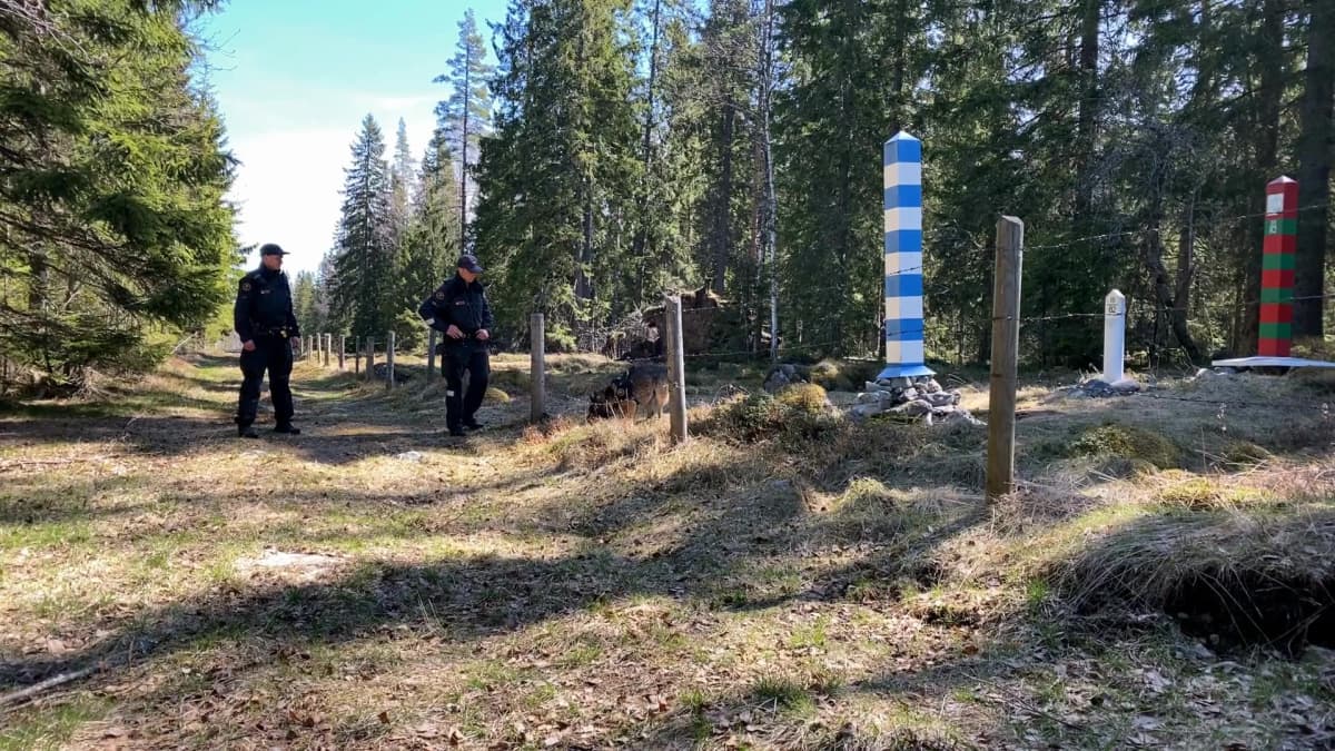 Pohjois-Karjalan rajavartioston partio seuraa, kun koira nuuhkii rajalinjaa.