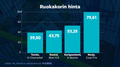Grafiikka ruokakorin hinnan eroista suomessa, ruotsissa ja norjassa.