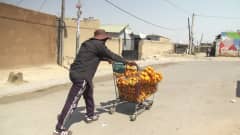 Hattupäinen katukauppias työntää appelsiineja kaupan ostoskärryssä köyhän asuinalueen kadulla Etelä-Afrikassa