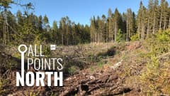 All points north logo and forest photograph