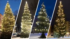Neljä suurta joulukuusta eri kaupungeista laitettuna samaan kuvaan.