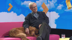 Antiikkiasiantuntija Wenzel Hagelstam ja hänen koiransa Luca Puoli seitsemän -ohjelmassa.