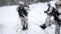Kainuun prikaatin jääkäreitä hiihtoharjoituksessa Kuhmon Vuosangassa helmikuussa 2018.