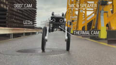 Tekoälyä hyödyntävä robotti vartioi rakennuksia Sveitsissä.