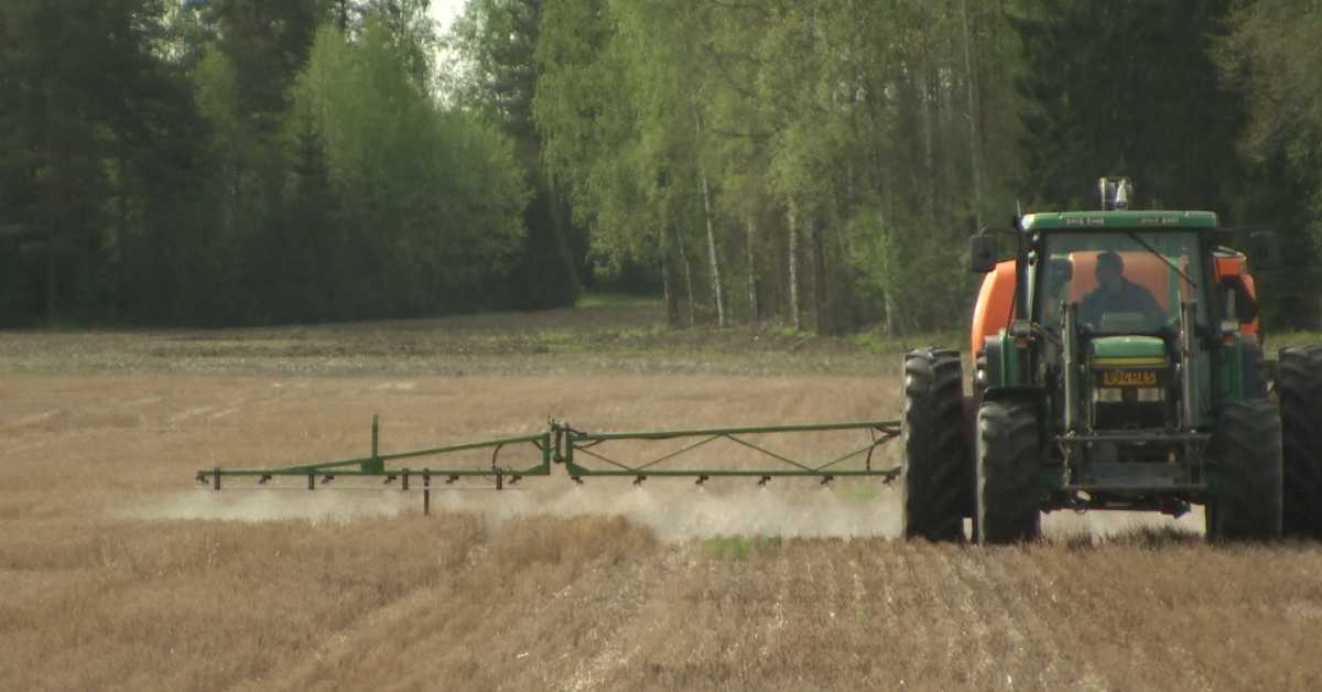 svenska.yle.fi