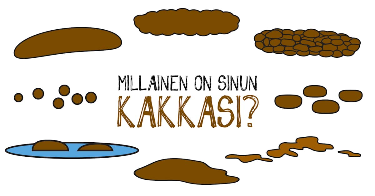 yle.fi