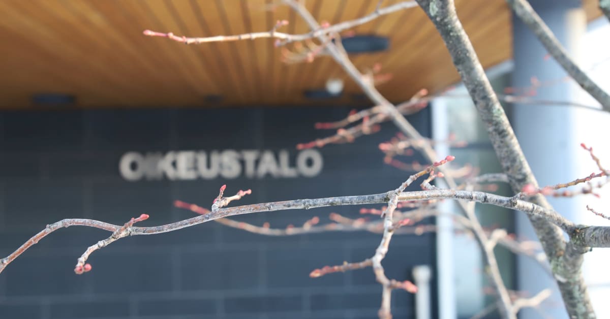 Lapland court hands suspended prison sentence to juvenile rapist Yle