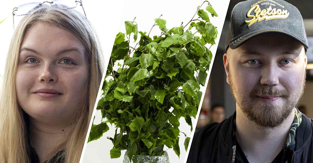 Käytätkö vihtaa vai vastaa? Kerro ja auta samalla suomen kielen tutkimusta